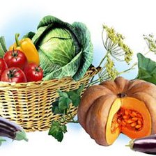 Схема вышивки «№532516»