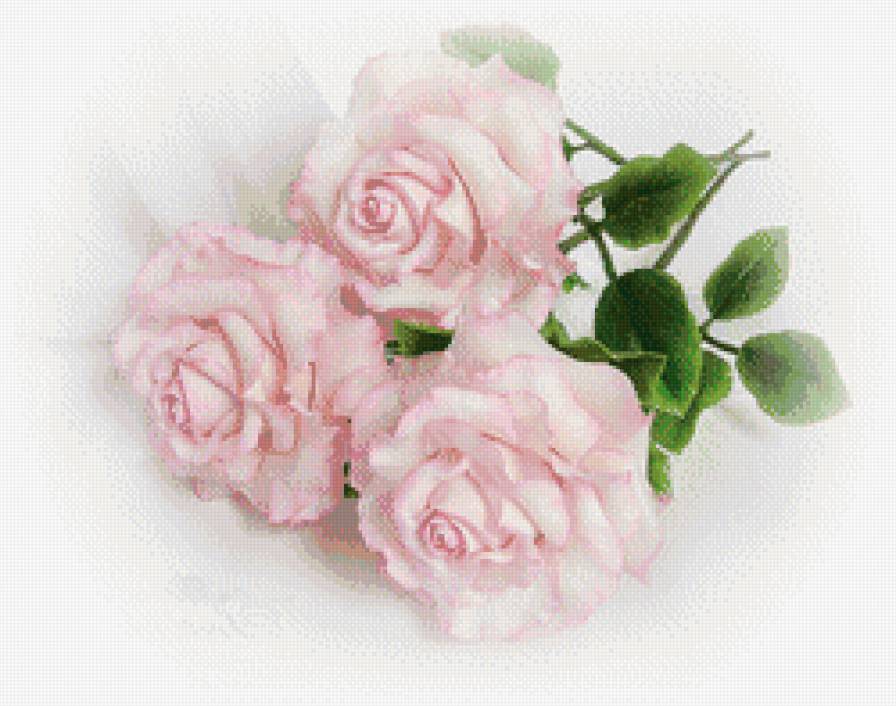 нежные розы - бутон, цветы, букет, розы, ветка, природа - предпросмотр