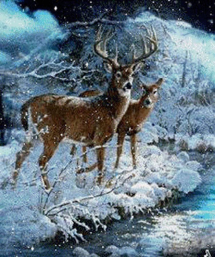 олени у зимней реки - косули, лес, зима, природа, закат, олени, дикие животные - предпросмотр