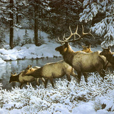 Схема вышивки «олени у переправы»
