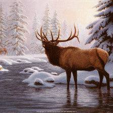 Схема вышивки «олень»