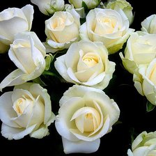 Схема вышивки «букет»