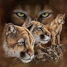 Схема вышивки «взгляд»