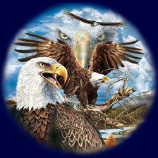 Схема вышивки «взгляд»