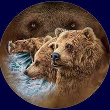 Схема вышивки «взгляд»