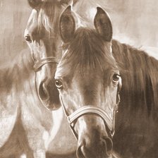 Схема вышивки «Пара лошадок (живопись)»