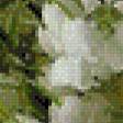 Предпросмотр схемы вышивки «ландыши» (№533034)