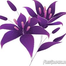 Схема вышивки «лилии»