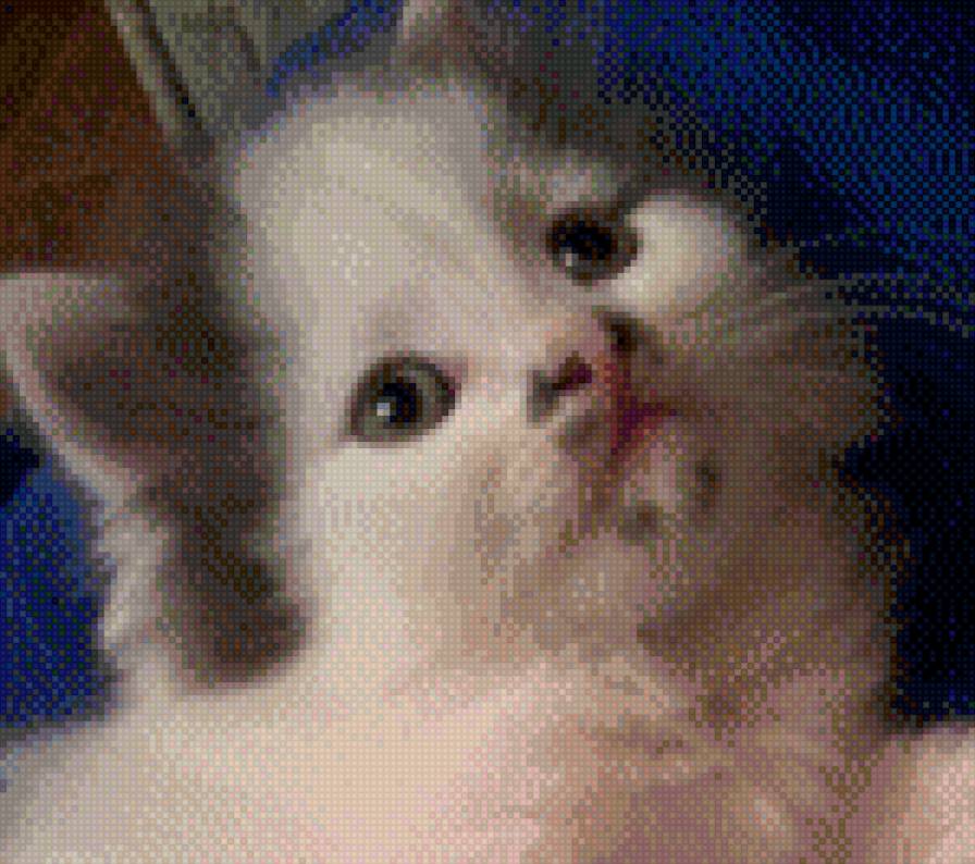 боня - предпросмотр