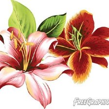 Схема вышивки «лилии»