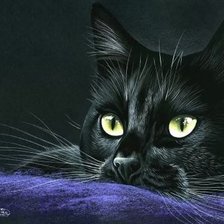 Схема вышивки «котик»