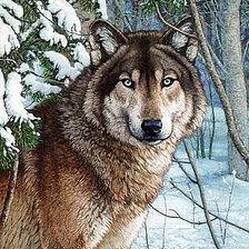 Схема вышивки «Серия "Хищники"»