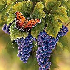 Схема вышивки «Единение с природой»