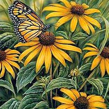 Схема вышивки «Единение с природой»