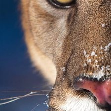 Схема вышивки «№533192»