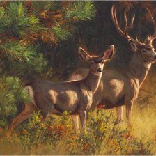 Схема вышивки «пара благородных оленей»