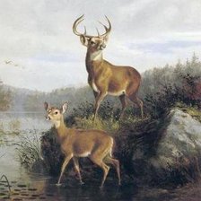 Схема вышивки «пара оленей»