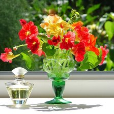 Схема вышивки «Букет»