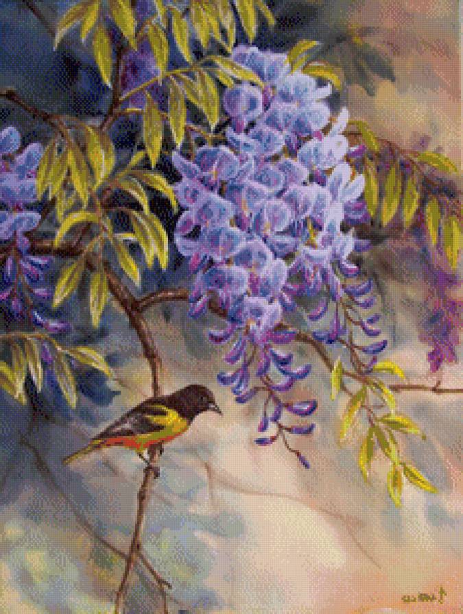 птица на ветке глицинии - глициния, акация, цветы, роза, веточка, ромашка, птичка, птица - предпросмотр