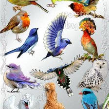 Схема вышивки «птицы»