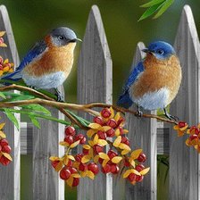 Схема вышивки «птички на веточке»