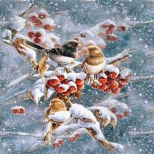 Схема вышивки «птички на ветке рябины»