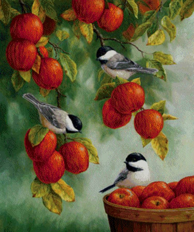 синички на яблоках - природа, корзинка, серия птицы, синички, яблоня, птички, яблоки - предпросмотр