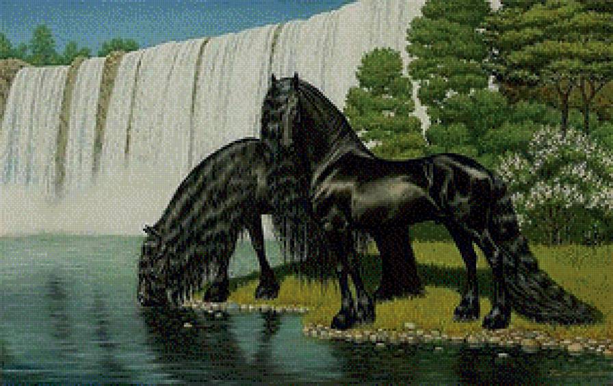Вороные кони - конь, лошадь - предпросмотр