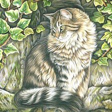 Милая кошечка