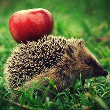 Схема вышивки «с запасом»