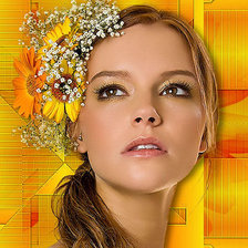 Схема вышивки «Diszben»