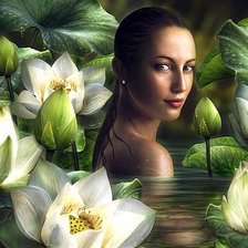 Девушка в лотосах