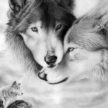 Схема вышивки «Волки»