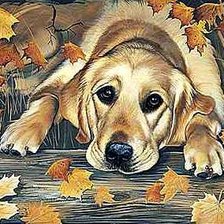 Схема вышивки «Ожидание»