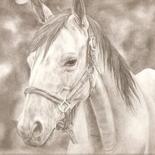 Схема вышивки «Лошадка-символ наступающего года»