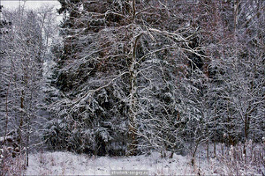 Русский лес зимой. - зима, лес, снег, деревья - предпросмотр
