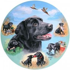 Схема вышивки «картина»