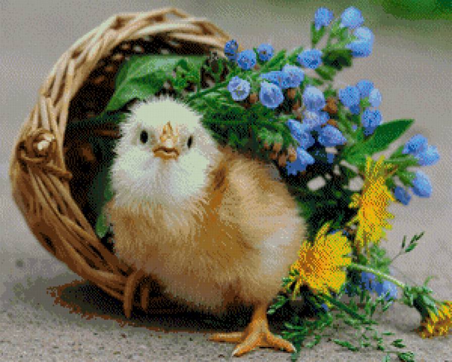 серия "птицы" - цветы.птицы.цыпленок - предпросмотр