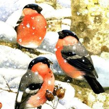 Схема вышивки «снегири зимой»