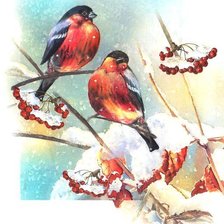 Схема вышивки «снегири на калине»