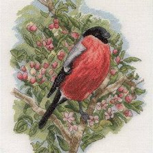 Схема вышивки «снегирь»