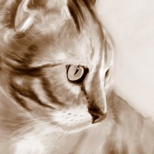 Схема вышивки «Кошка»