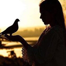 Схема вышивки «№534557»