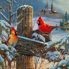 Схема вышивки «птицы»