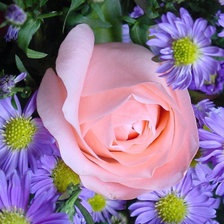 Схема вышивки «роза»