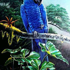 Схема вышивки «Papagáj»