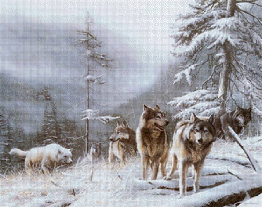Волчья стая. - волки, волчья стая - предпросмотр