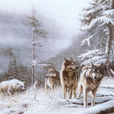 Волчья стая.