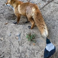 Схема вышивки «Вот прицепилась ))»