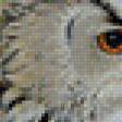 Предпросмотр схемы вышивки «Сова.» (№534985)